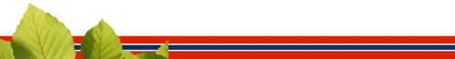 17 Mai 2025 Pynting 770X100